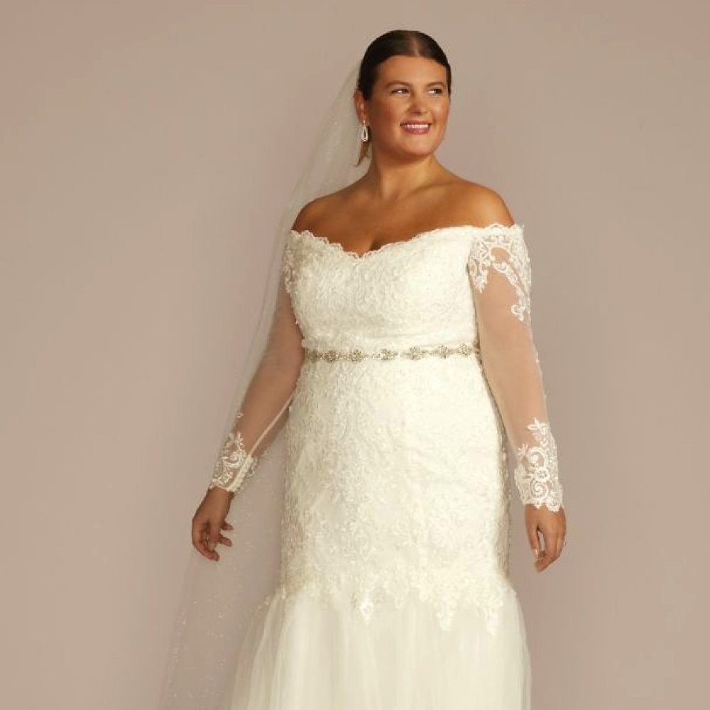 wedding dress; long sleeve lace and tulle trumpet (David Bridal)